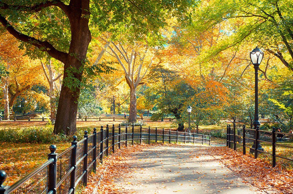 Hôtel Fairfield Inn and Suites by Marriott New York Manhattan Central Park 3* pas cher photo 3