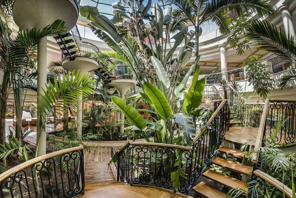 Sheraton Fuerteventura Beach, Golf & Spa Resort 5* pas cher photo 4