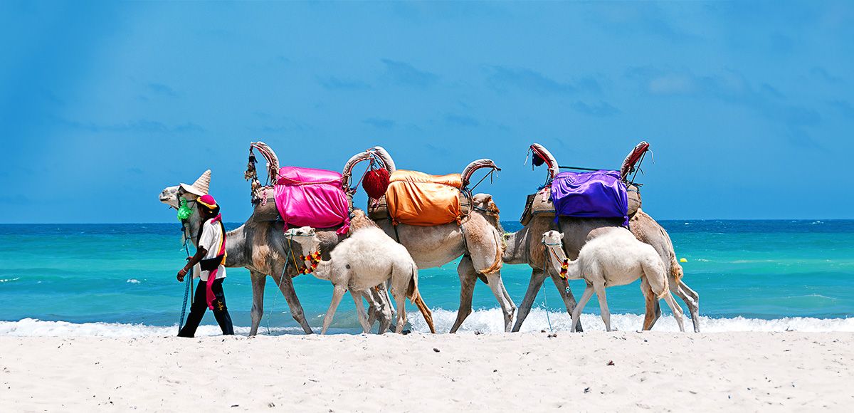 Riad Meninx 4* pas cher photo 3