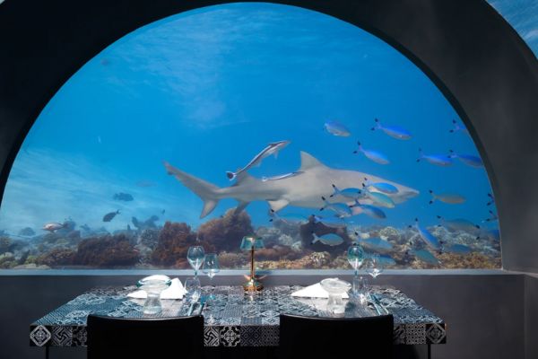 Séjour Maldives You & Me by Cocoon 5* pas cher photo 5