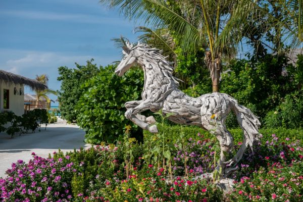 Séjour Maldives You & Me by Cocoon 5* pas cher photo 16