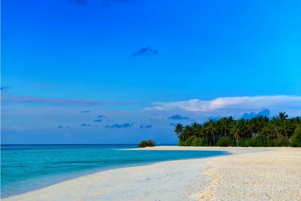 Séjour Cocoon Maldives 5* pas cher photo 3