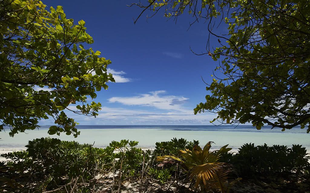 Canopy by Hilton Seychelles 4* pas cher photo 2