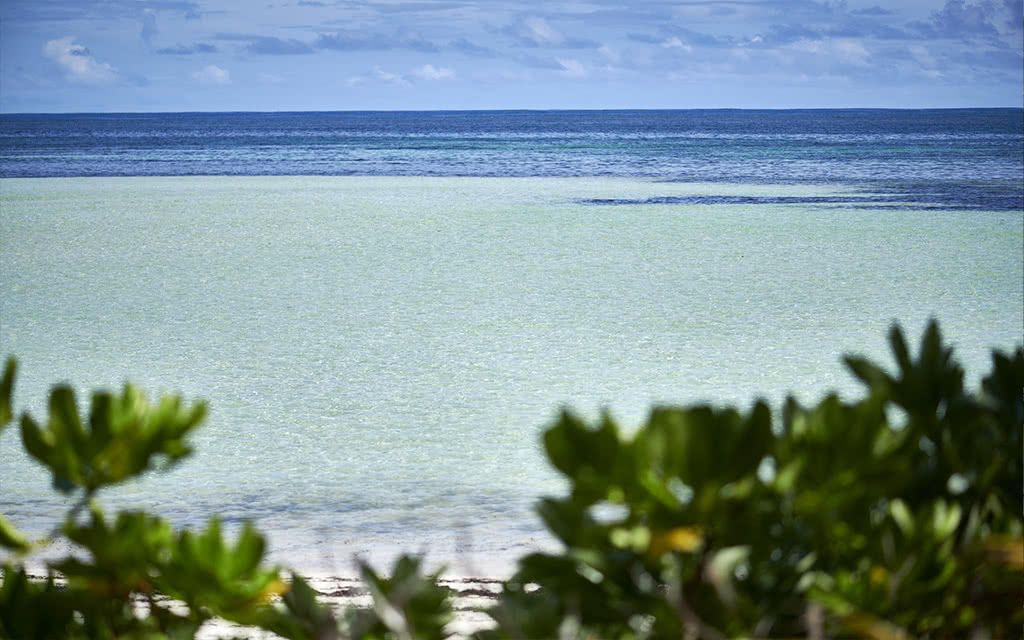 Canopy by Hilton Seychelles 4* pas cher photo 4