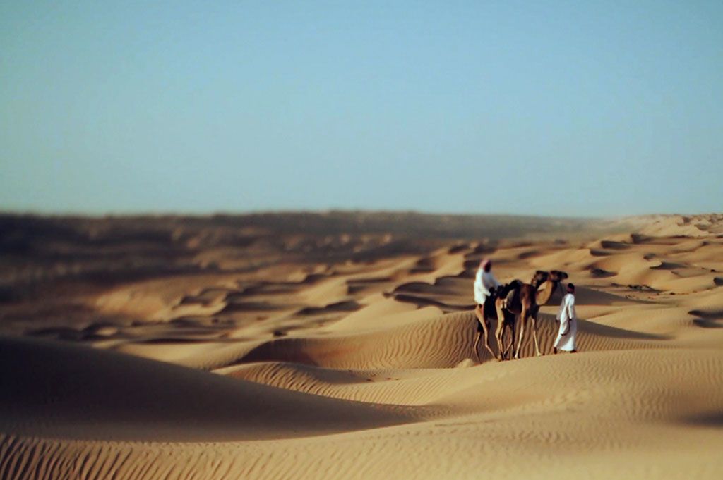 Balade dans le Golfe d'Arabie pas cher photo 12