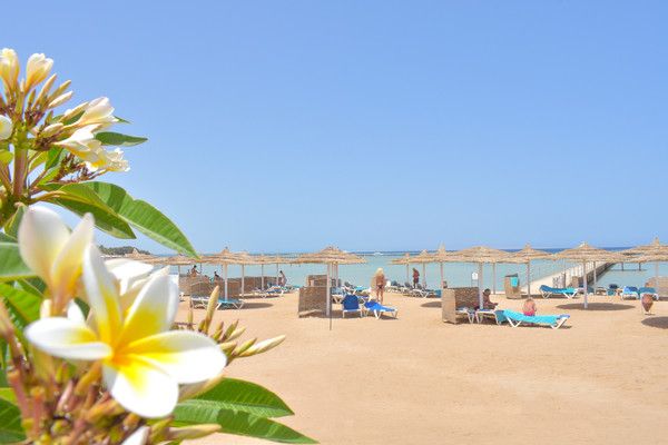 Hôtel Jasmine Palace Resort et Spa 5* pas cher photo 3