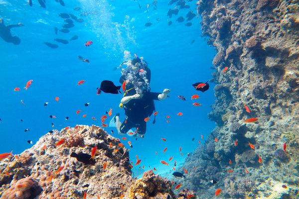 Hôtel Jasmine Palace Resort et Spa 5* pas cher photo 18