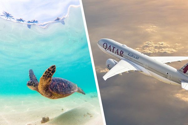 Club Framissima SAii Lagoon Curio By Hilton avec vols Qatar Airways 5* pas cher photo 2