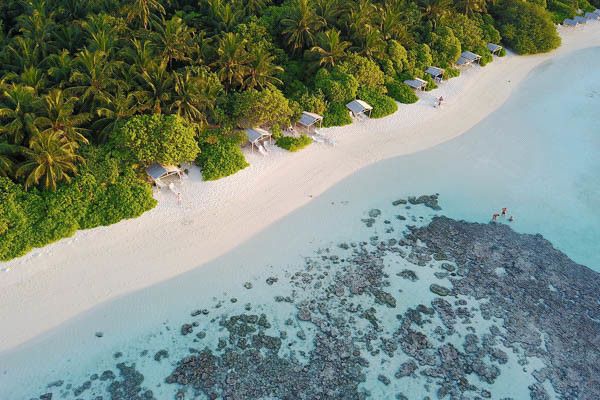 Hôtel Plumeria Maldives 4* pas cher photo 24