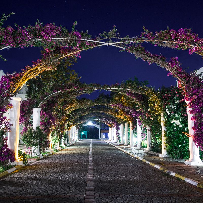 Hôtel Kadikale Resort 5* pas cher photo 9