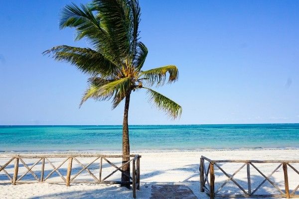 Framissima Hôtel Paje Palms Beach Resort 4* avec 1 nuit au Parc de Selous pas cher photo 11