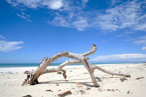 Séjour Pinewood Beach Resort & Spa 4* Sup pas cher photo 16