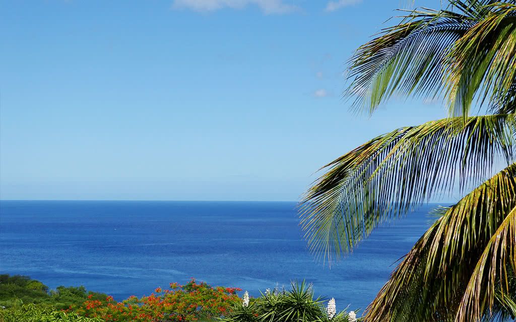 Villa Canne Douce pas cher photo 9