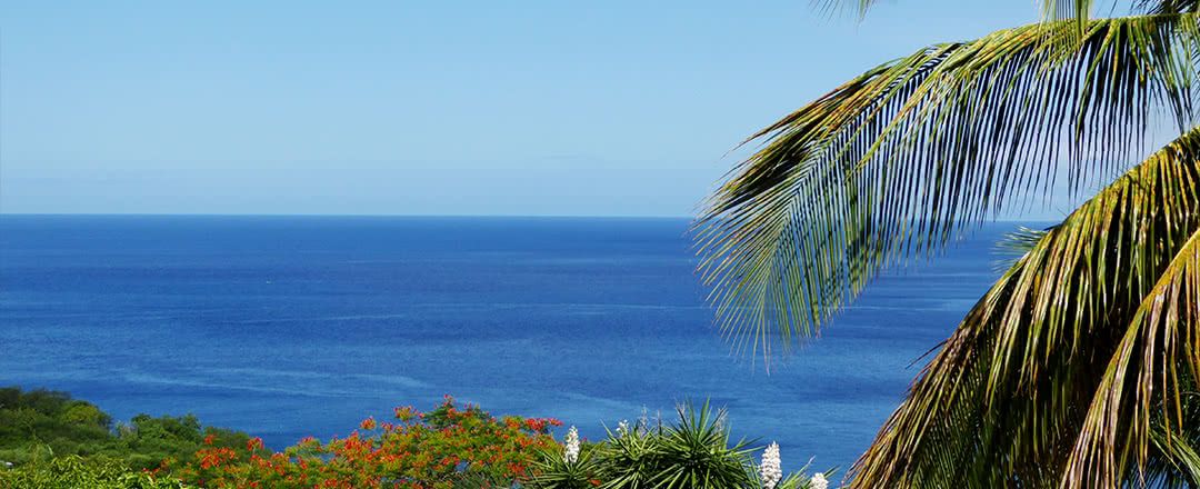 Villa Canne Douce pas cher photo 14