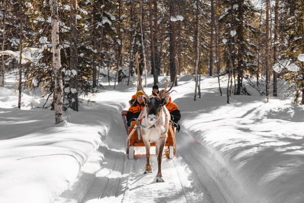 Hôtel Ylläs Lake (activités incluses) 3* pas cher photo 4