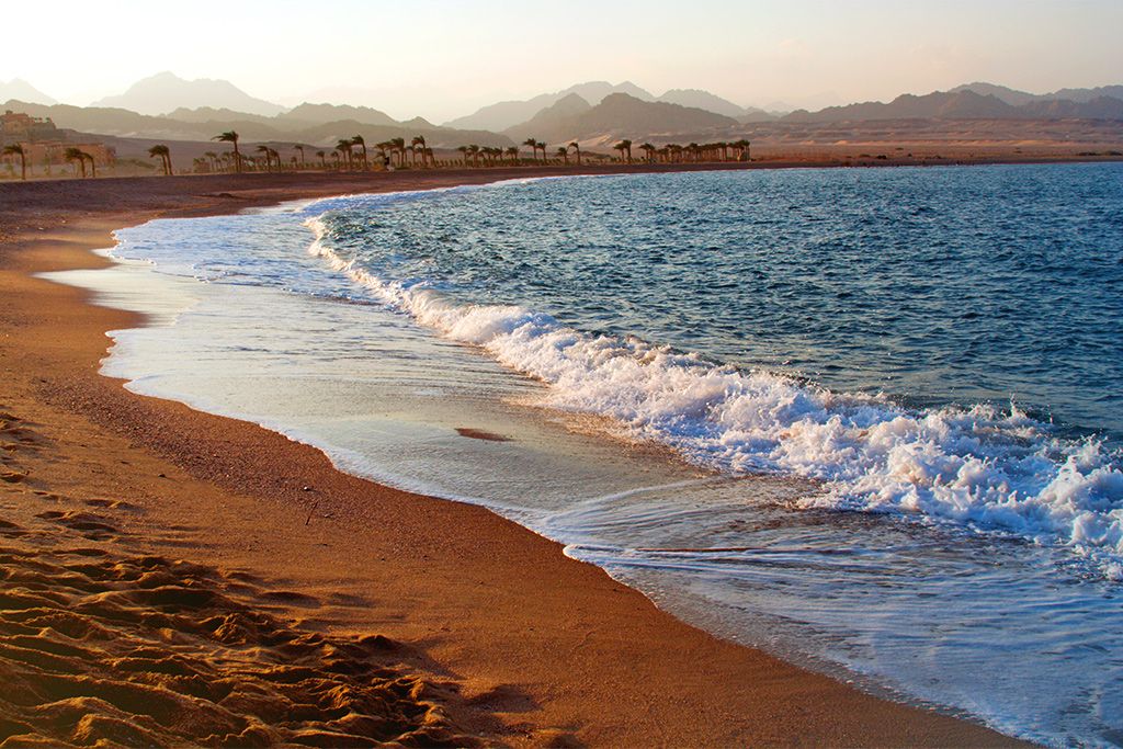 Hôtel Fujairah Rotana Resort et Spa 5* pas cher photo 17