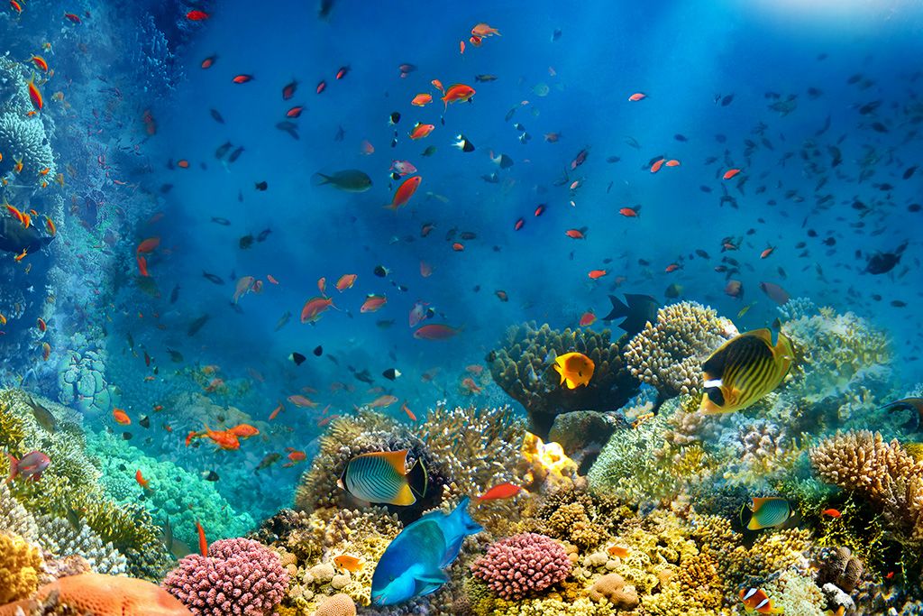 Hôtel Amphoras Blu 4* pas cher photo 1