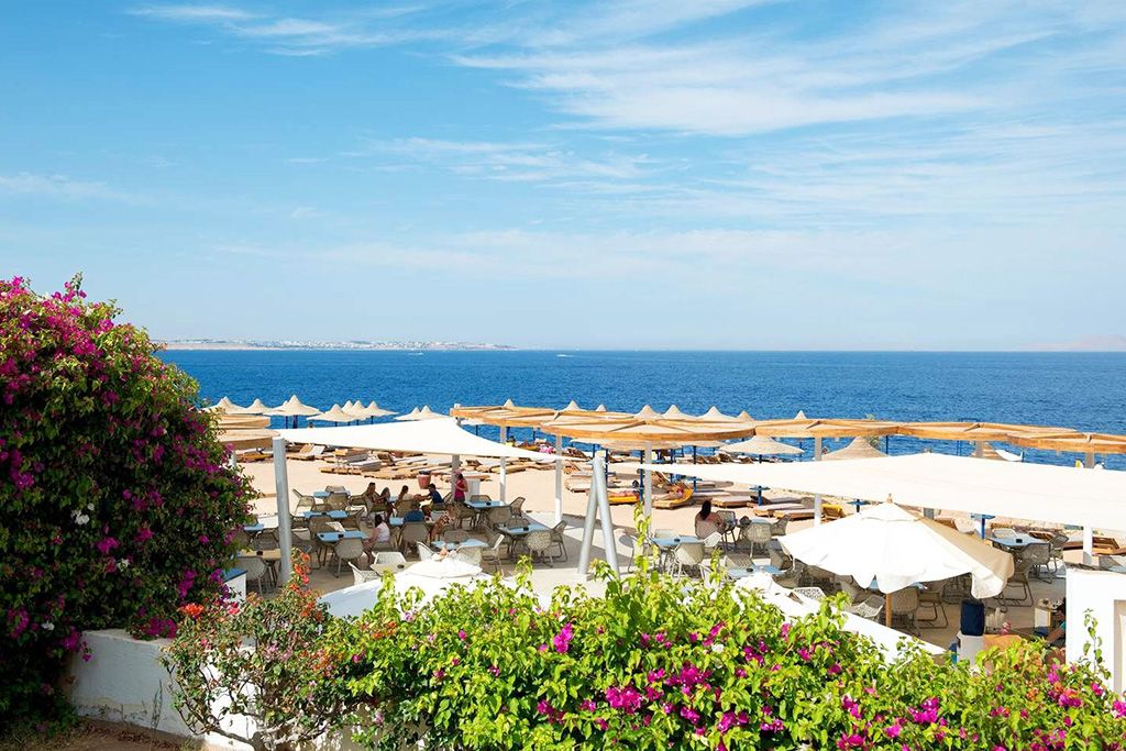 Hôtel Amphoras Blu 4* pas cher photo 11