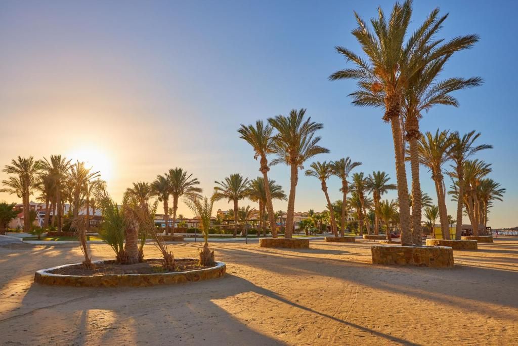 Hôtel Protels Crystal Beach Resort 3* pas cher photo 24