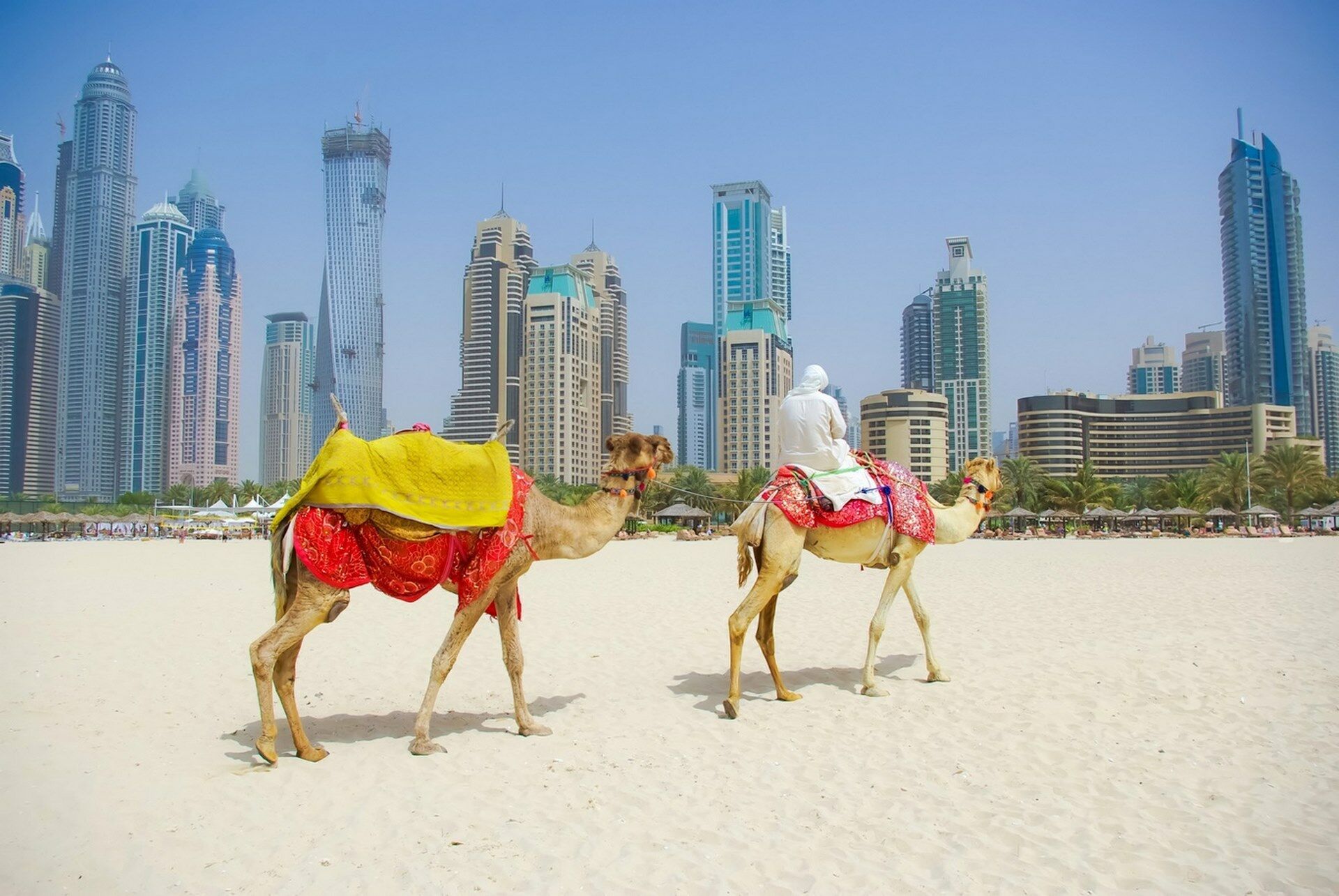 Légendes des Emirats 2026 - 6J/5N - Limité à 16 pers. pas cher photo 2