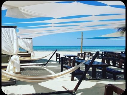 Hôtel Royal Garden Palace 5* pas cher photo 5