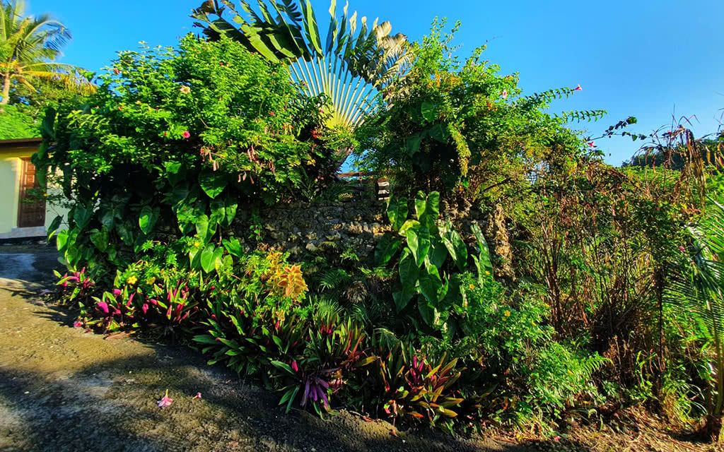 Villa Caraibes pas cher photo 3