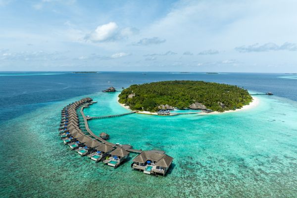 Séjour Dusit Thani Maldives 5* pas cher photo 3