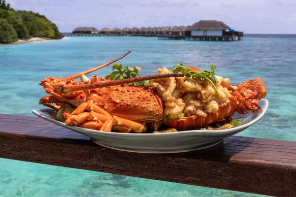 Séjour Dusit Thani Maldives 5* pas cher photo 21