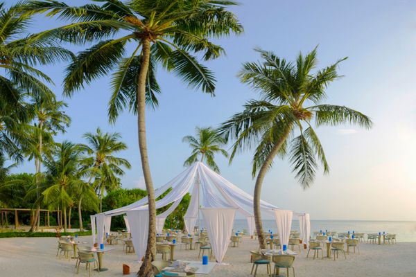 Séjour Dusit Thani Maldives 5* pas cher photo 27