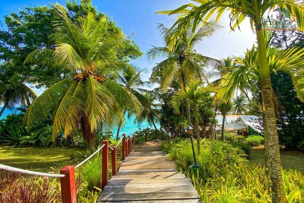 Hôtel Auberge de la Vieille Tour 4* pas cher photo 14