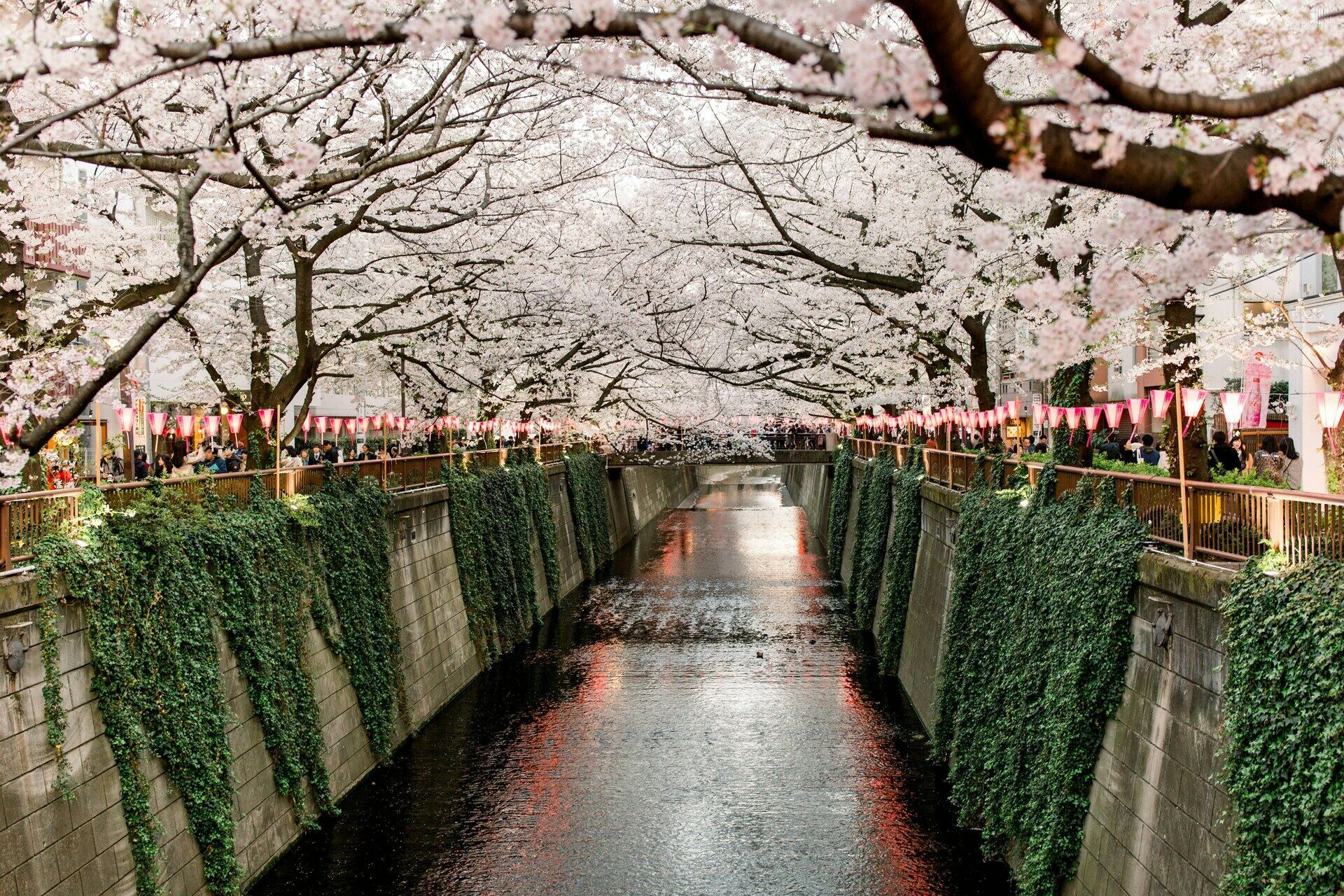 Séjour Tokyo en 3* ou 4* pas cher photo 4