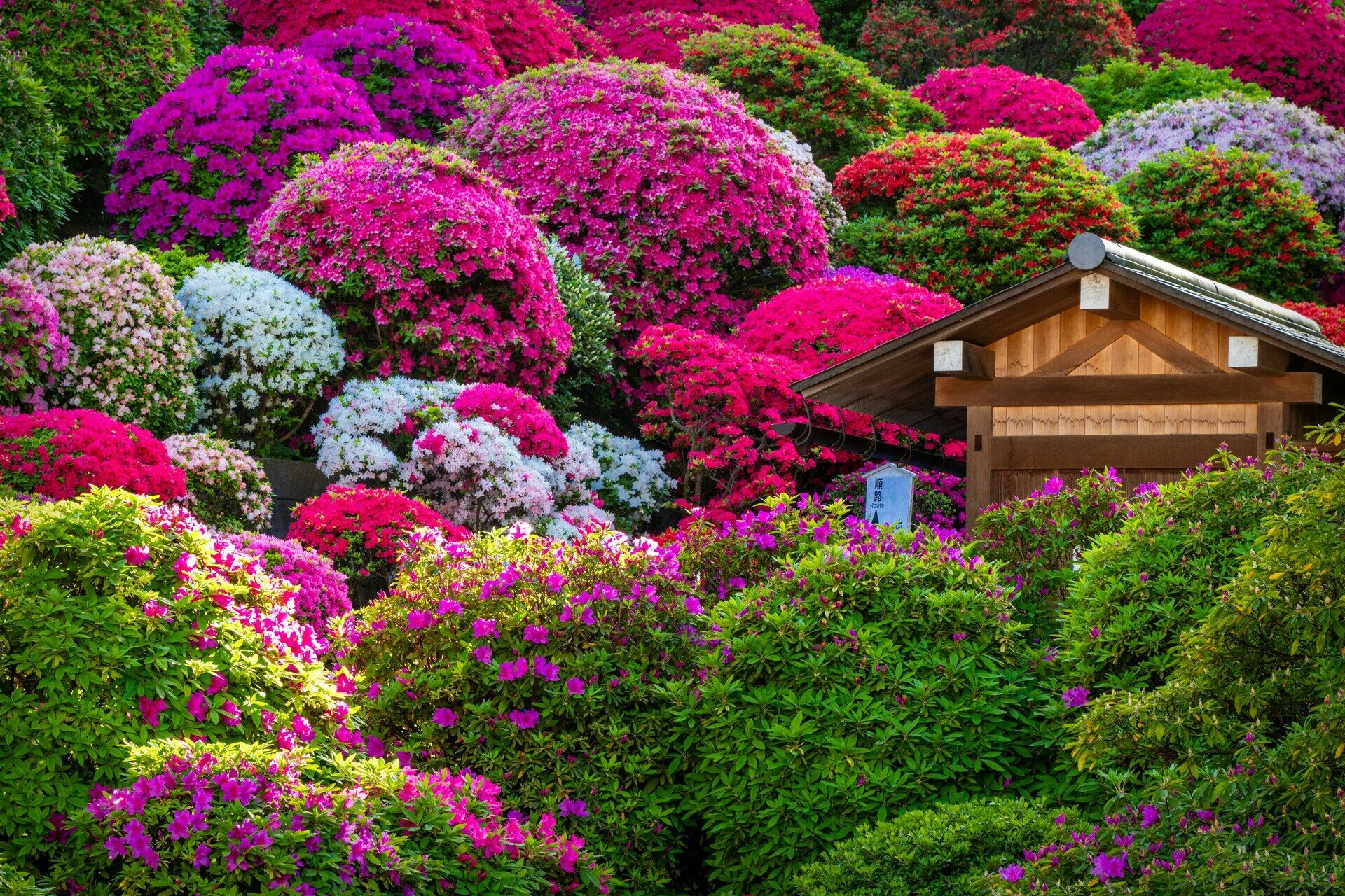 Séjour Tokyo en 3* ou 4* pas cher photo 5