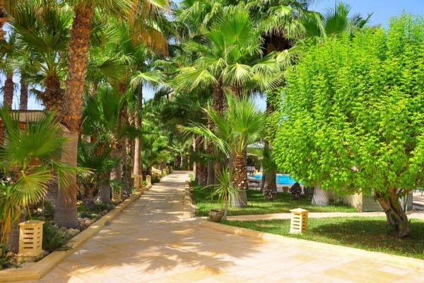 Club Jumbo Ksar Djerba 4* pas cher photo 33
