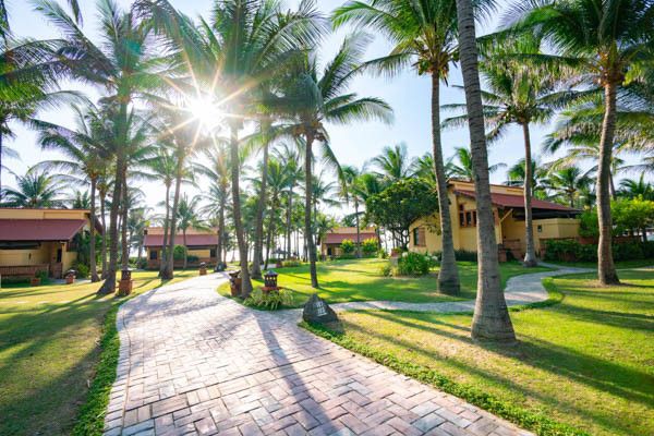 Hôtel Pandanus Resort 4* pas cher photo 36