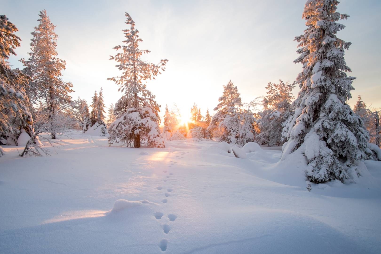 Séjour multi activités à Suomu - hôtel Suomutunturi 5 jours/ 4 nuits pas cher photo 4