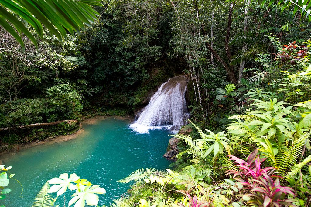 Hôtel Grand Palladium Jamaica Resort et Spa 5* pas cher photo 1