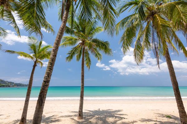 Hôtel Sunprime Kamala Beach (adult only +16) 4* pas cher photo 7