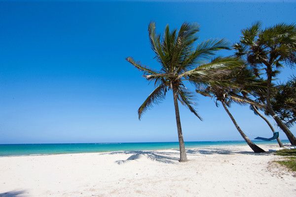 Hôtel Jacaranda Indian Ocean Beach Resort 4* pas cher photo 2