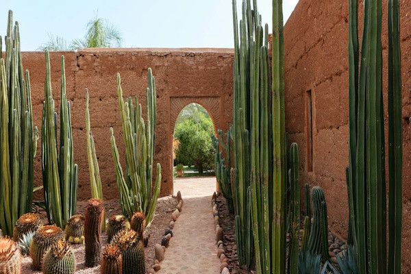 Riad Arrahma 3* pas cher photo 18