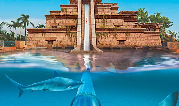 Hôtel Atlantis The Palm 5* pas cher photo 4