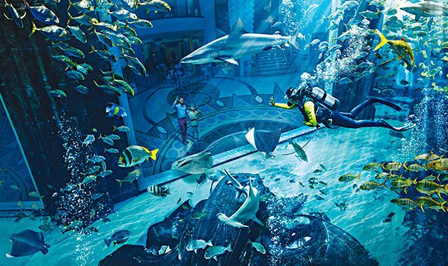 Hôtel Atlantis The Palm 5* pas cher photo 7