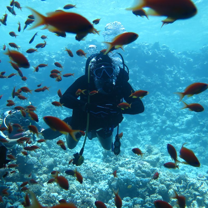 Hôtel Stella Beach Resort et Spa 5* pas cher photo 33