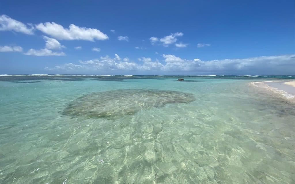 Karucoco Lodge - Deshaies pas cher photo 6