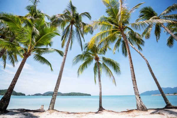 Essentiels de Malaisie et plage à Langkawi 4* pas cher photo 2