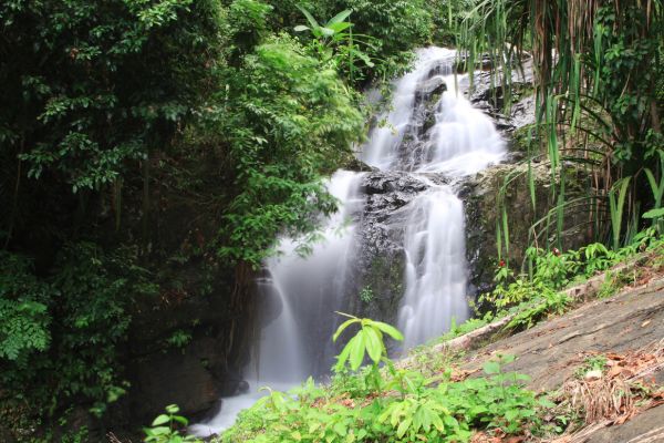 Essentiels de Malaisie et plage à Langkawi 4* pas cher photo 32