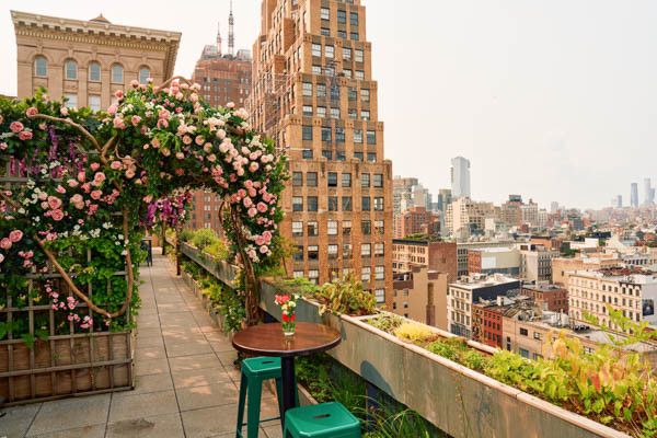 Hôtel Walker Tribeca, Immersion by Fram New York 4* pas cher photo 15