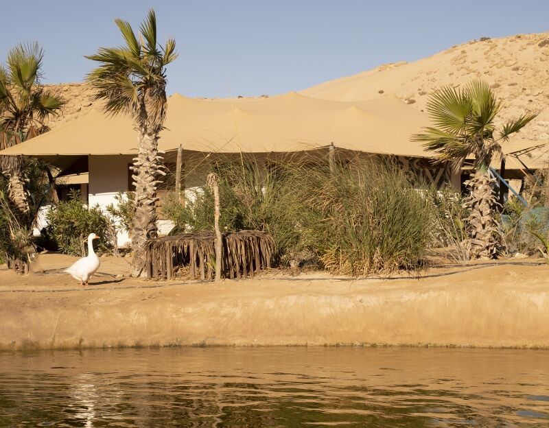 Hôtel Dunes de Daklha 4* pas cher photo 2