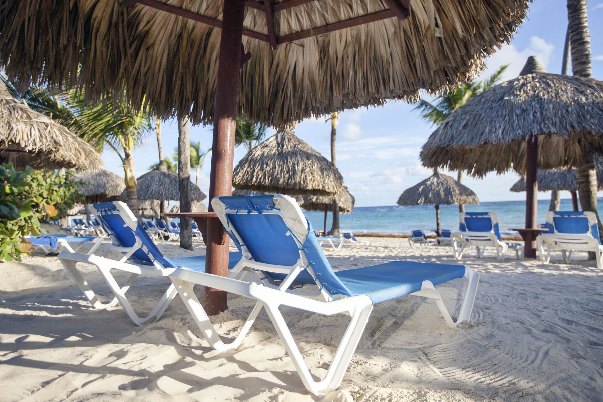 Hôtel Bahia Principe Grand Punta Cana 5* pas cher photo 12