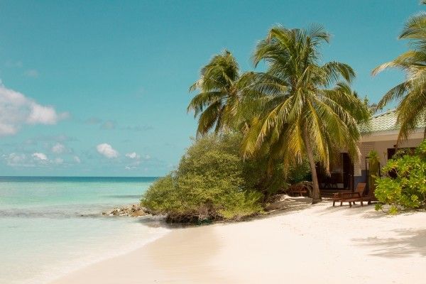 Hôtel Eri Maldives 4* pas cher photo 3