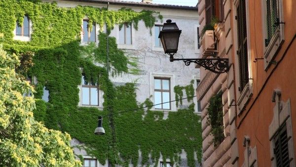 Grifo 3* pas cher photo 9